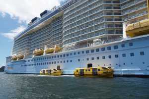 Bay of Islands 31oct2019 (269)